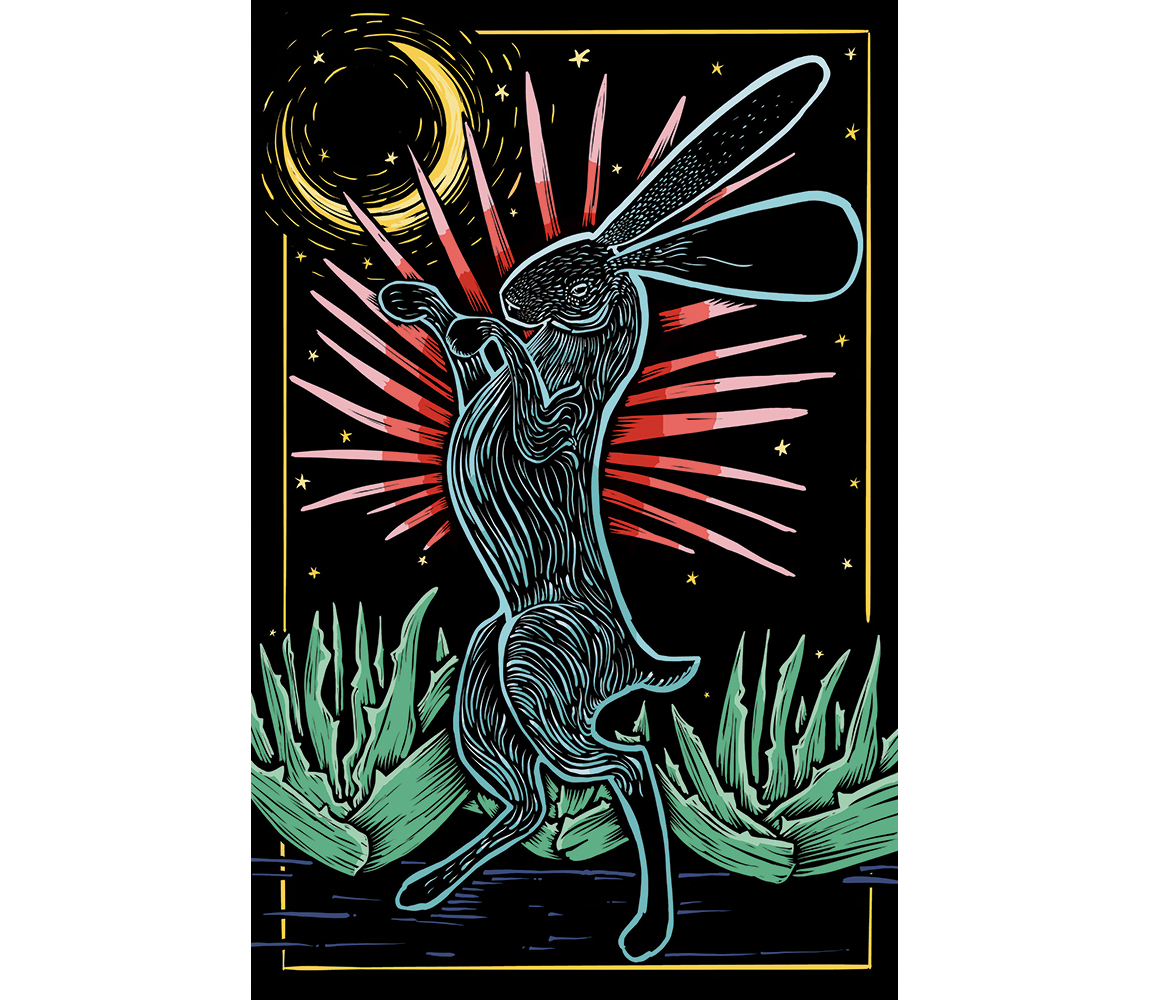 "Agave Rabbit" - Sara Gettys